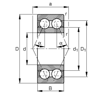 3000 double row angular contact ball bearing