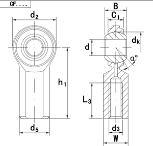 CF - Rod End