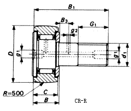 CR-R - curve roller bearing