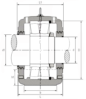 SAF300 bearing housing