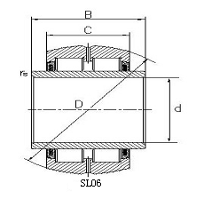 SL06 - spherical full complement cylindrical roller bearing