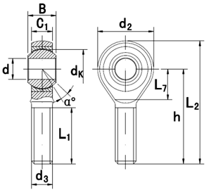 SSA-T/K - Rod End