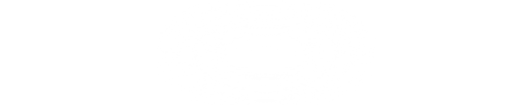 slide-rev4-shadoe2.png